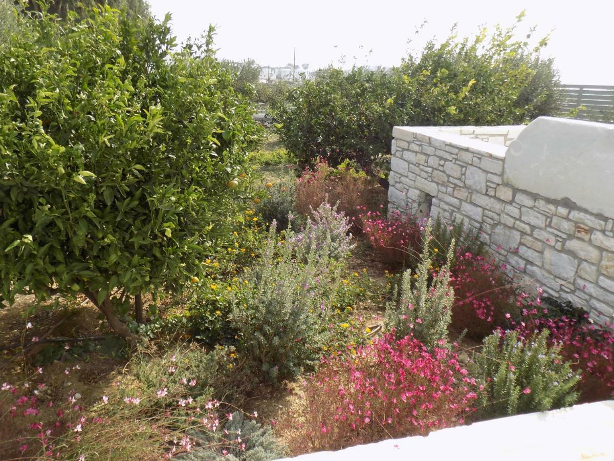 Villa Evilia Marpissa Exterior photo
